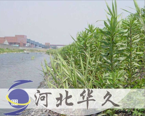 河道防護(hù)網(wǎng)